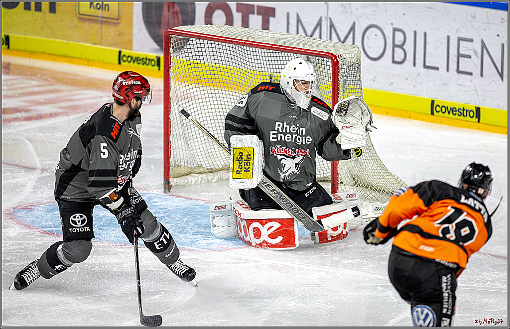 DEL; Koelner Haie - Grizzlys Wolfsburg, 26.12.2018